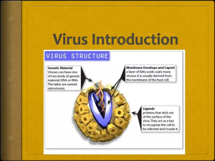 virus introduction