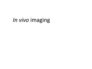 In vivo imaging