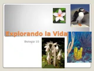 explorando la vida