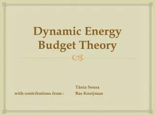 Dynamic Energy Budget Theory