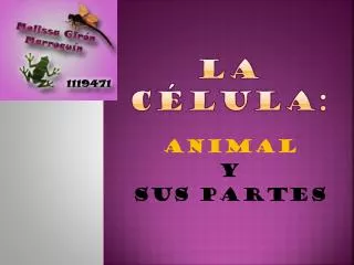 la c lula