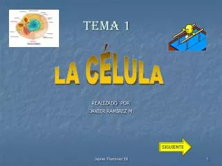 tema 1