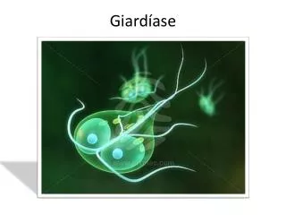 giard ase