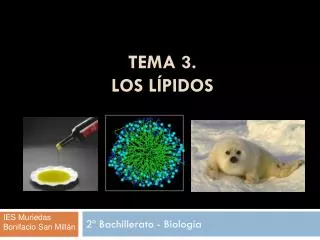 tema 3 los l pidos