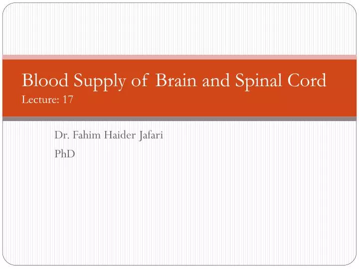 blood supply of brain and spinal cord lecture 17