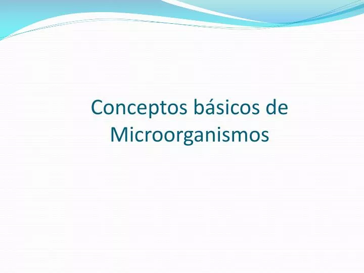 conceptos b sicos de microorganismos