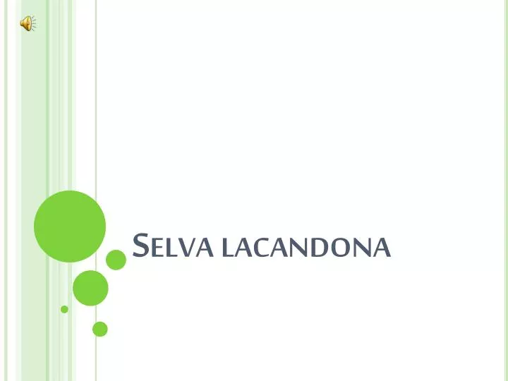 selva lacandona