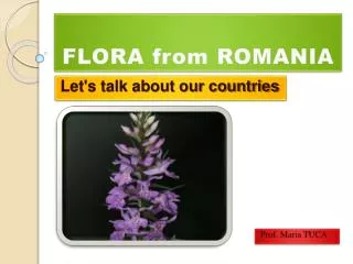 FLORA from ROMANIA