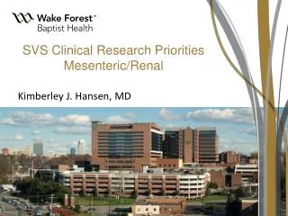 SVS Clinical Research Priorities Mesenteric/Renal
