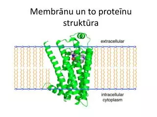 Membrānu un to proteīnu struktūra