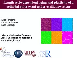 Length scale dependent aging and plasticity of a colloidal polycrystal under oscillatory shear
