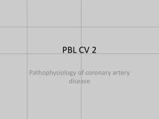 PBL CV 2