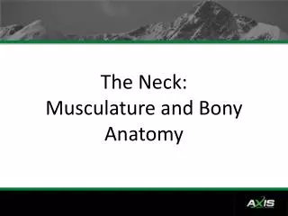 The Neck: Musculature and Bony Anatomy