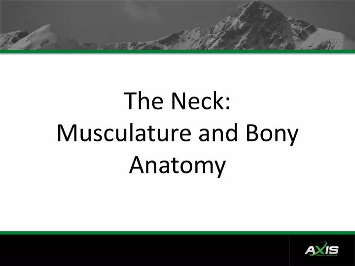 the neck musculature and bony anatomy