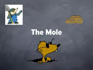 The Mole