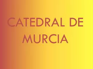 catedral de murcia