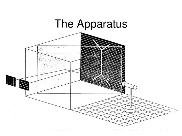 the apparatus