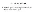 Lit. Terms Review