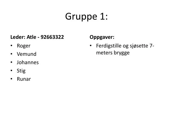 gruppe 1