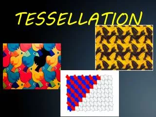 TESSELLATION