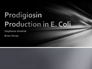 Prodigiosin Production in E. Coli