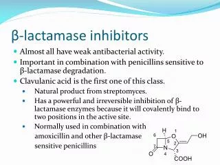 ? -lactamase inhibitors