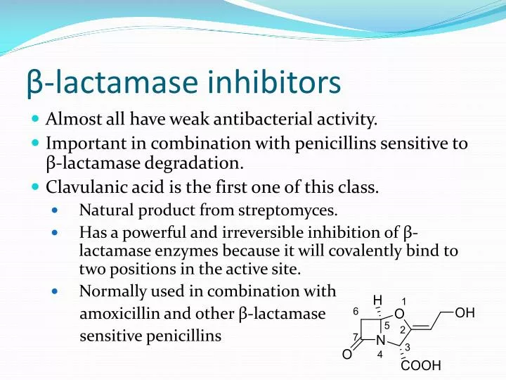 lactamase inhibitors