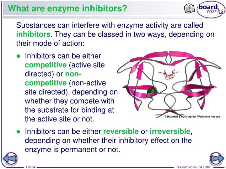 what are enzyme inhibitors