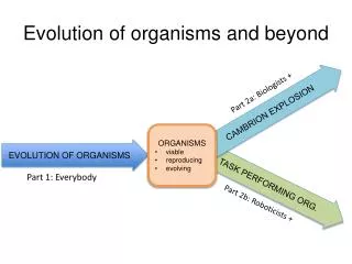 Evolution of organisms and beyond