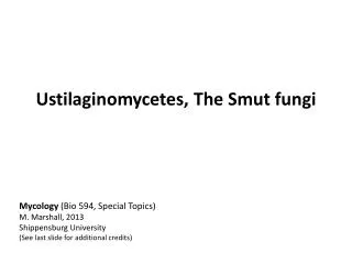 Ustilaginomycetes , The Smut fungi
