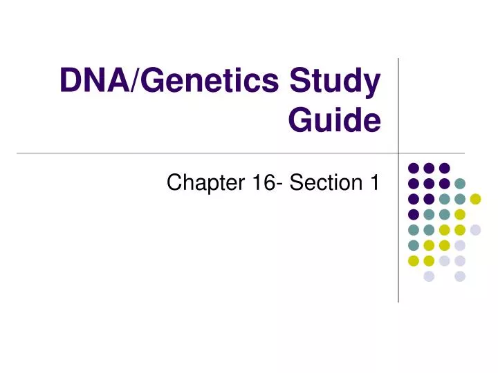 dna genetics study guide