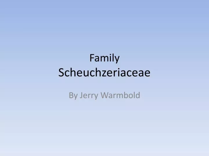 family scheuchzeriaceae