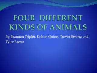 FOUR DIFFERENT KINDS OF ANIMALS