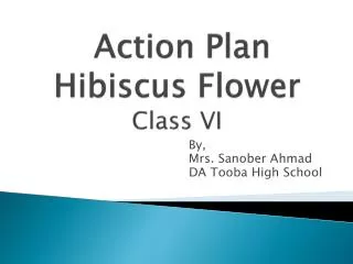 Action Plan Hibiscus Flower Class VI