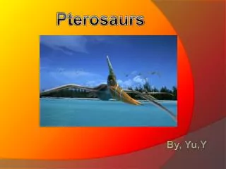 Pterosaurs