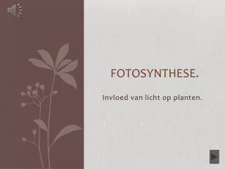 fotosynthese