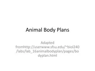 Animal Body Plans