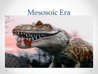 Mesosoic Era