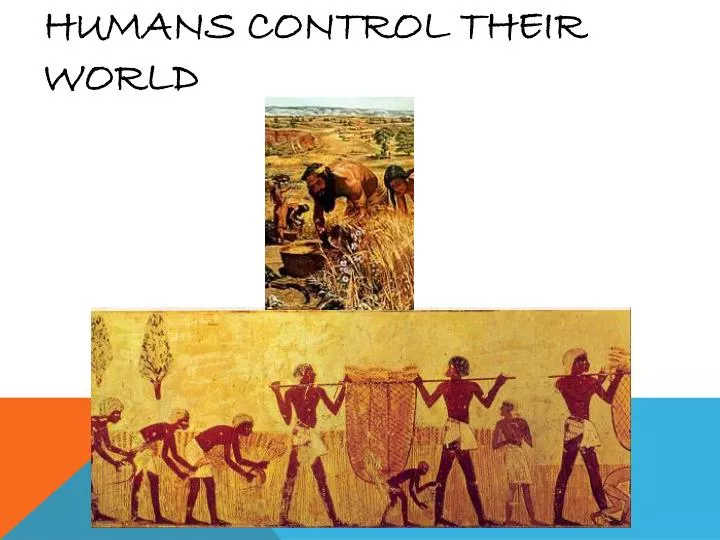 humans control their world