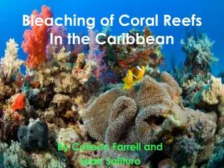 Bleaching of Coral Reefs In the Caribbean