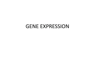 GENE EXPRESSION
