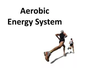 Aerobic Energy System