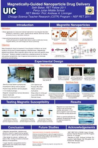 Magnetite Nanoparticles