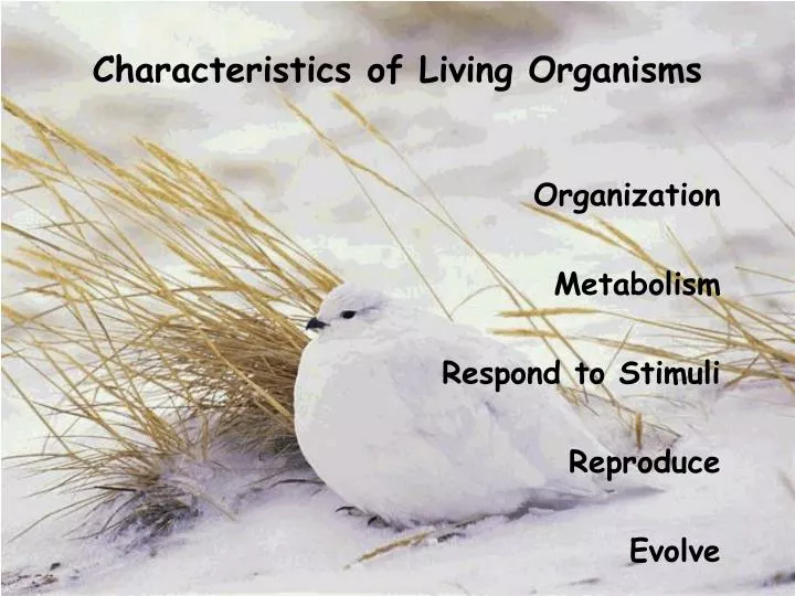 characteristics of living organisms