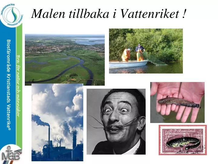 malen tillbaka i vattenriket