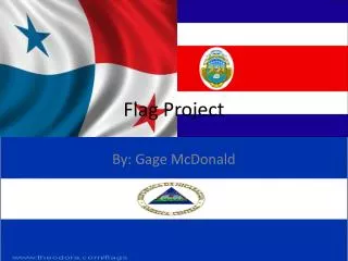 Flag Project