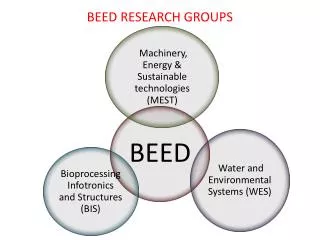BEED RESEARCH GROUPS