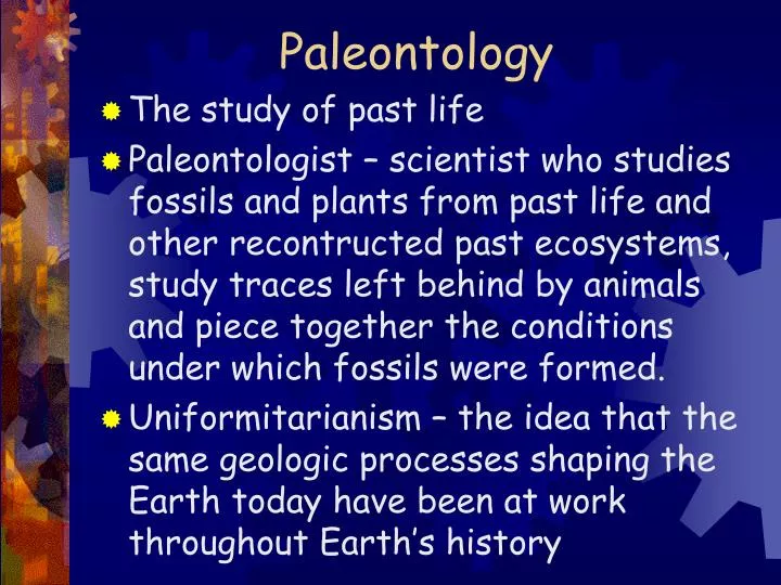 paleontology