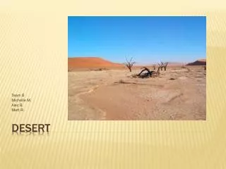 Desert