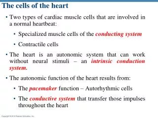 The cells of the heart